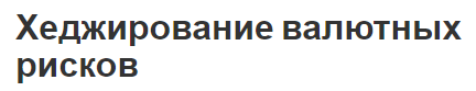 Хеджирование валютных рисков - характер, виды и основные методы