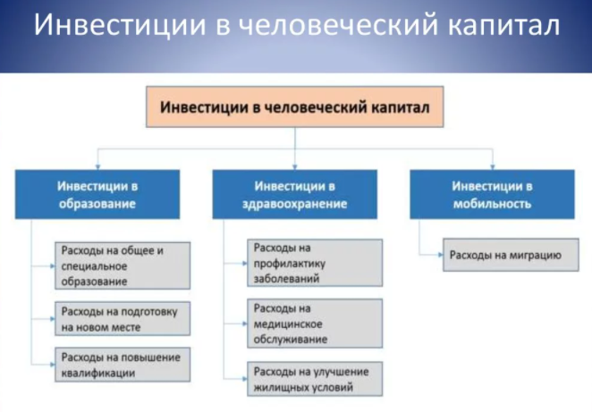 Факторы информационной экономики - понятия, суть и роль человеческого капитала в их развитии