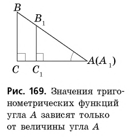 Вычисления элементов прямоугольного треугольника