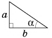 Прямоугольный треугольник в тригонометрии