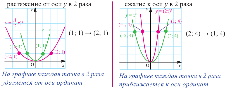 Функция в математике - определение, свойства и примеры с решением