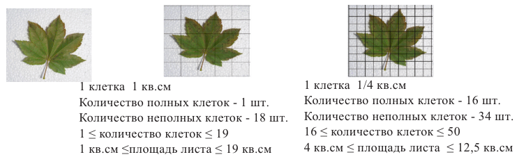 Интеграл и его применение с примерами решения