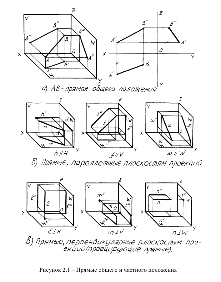 проекция прямой на площадь