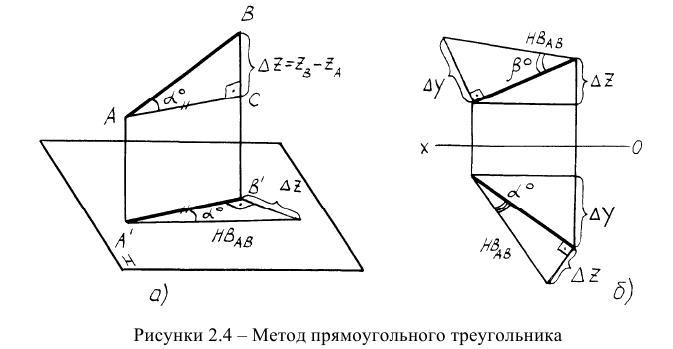 проекция прямой на площадь