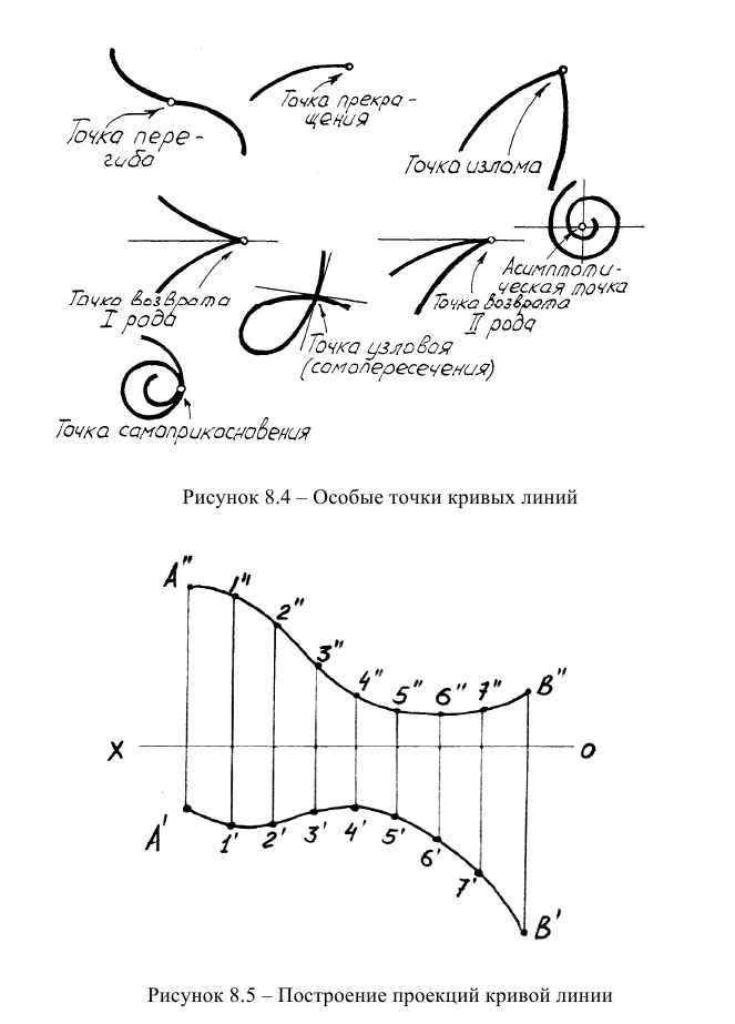 Кривые линии в начертательной геометрии с примерами