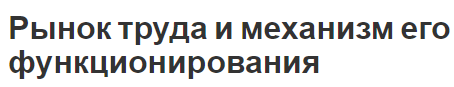 Рынок труда и механизм его функционирования - характеристики, элементы и основы