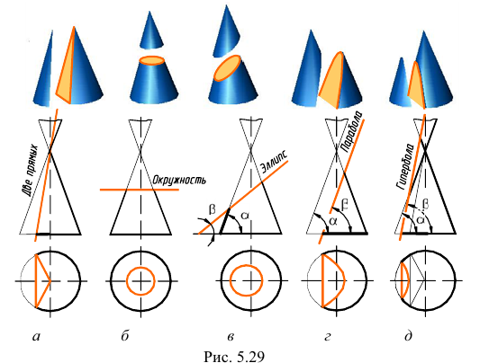 Построение проекций линий пересечения конуса плоскостью с примером