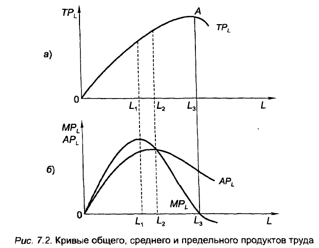 Экономическая теория - примеры с решением заданий и выполнением задач