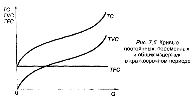 Экономическая теория - примеры с решением заданий и выполнением задач