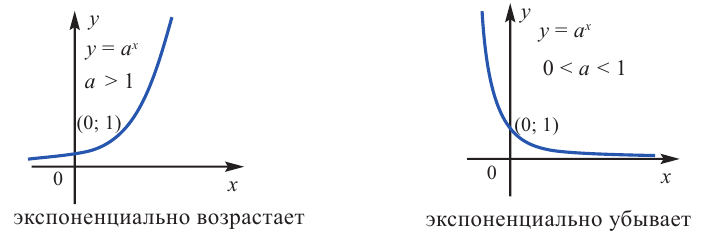 Показательная функция, её график и свойства с примерами решения