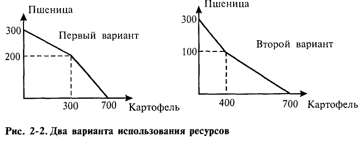 Экономика - примеры с решением заданий и выполнением задач