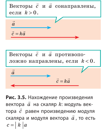 Скалярные и векторные величины и действия над ними в физике с примерами