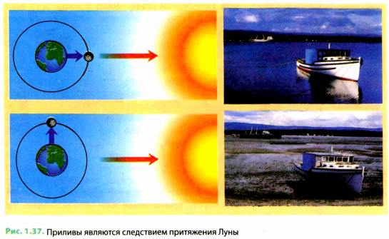 Взаимодействие тел в физике - виды, формулы и определения с примерами