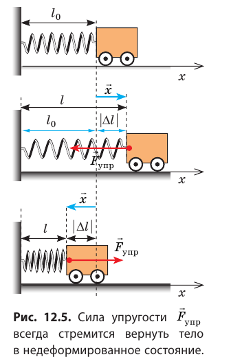 Сила упругости в физике и закон Гука - формулы и определения с примерами