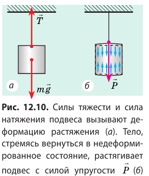 Сила упругости в физике и закон Гука - формулы и определения с примерами