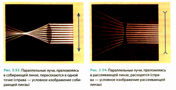 Линзы в физике - виды, формулы и определения с примерами