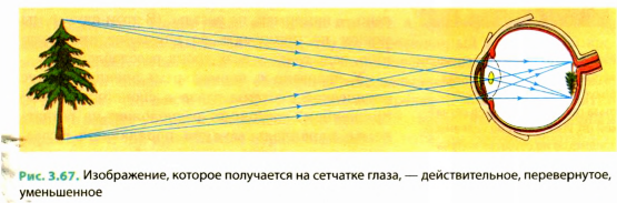 Глаз как оптическая система в физике с примерами