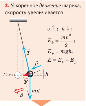 Пружинные и математические маятники в физике - виды, формулы и определения с примерами