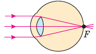 Глаз как оптическая система в физике с примерами