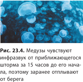 Волны в физике - виды, формулы и определения с примерами