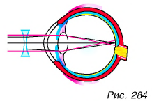 Глаз как оптическая система в физике с примерами