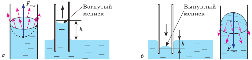 Поверхностное натяжение жидкости - формулы и определение с примерами