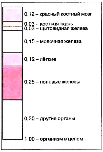 Ядерная энергетика в физике - виды, формулы и определение с примерами