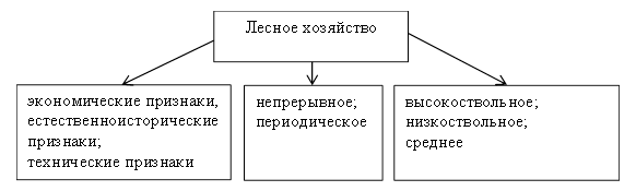 Лесное хозяйство как отрасль экономики - структура, концепция, классификация и особенности