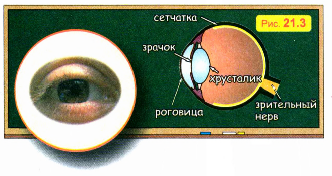 Световые явления в физике - виды, формулы и определения с примерами