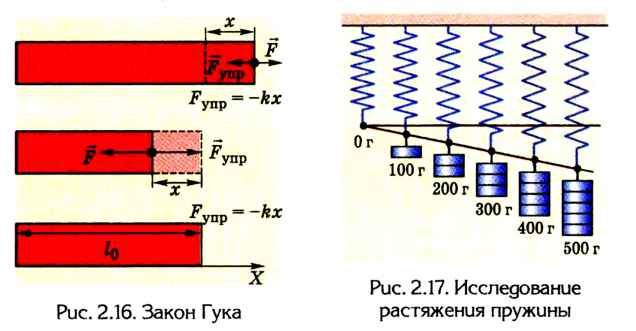 Сила упругости в физике и закон Гука - формулы и определения с примерами