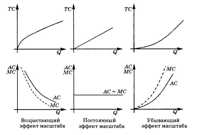 Экономическая теория - примеры с решением заданий и выполнением задач