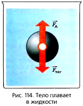 При каком условии тело всплывает в жидкости