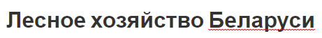 Лесное хозяйство Беларуси - характеристика, состояние и будущие направления