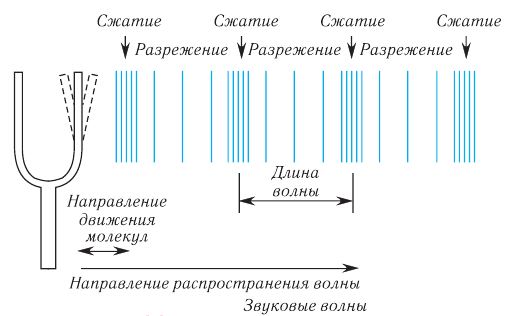 Механические колебания и волны в физике - формулы и определение с примерами