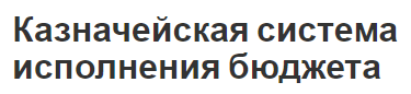 Казначейская система исполнения бюджета - концепция, суть и функции