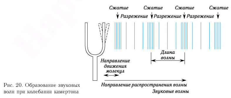 Продольные и поперечные волны в физике - формулы и определение с примерами