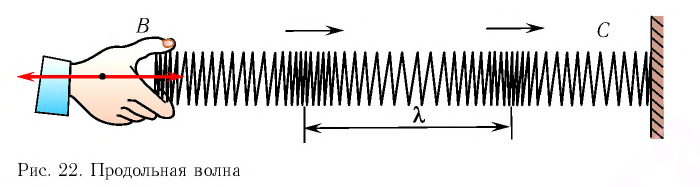 Продольные и поперечные волны в физике - формулы и определение с примерами
