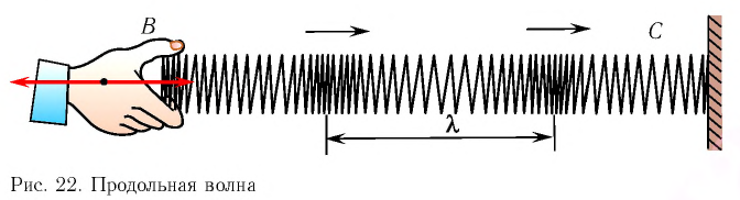 Продольные и поперечные волны в физике - формулы и определение с примерами