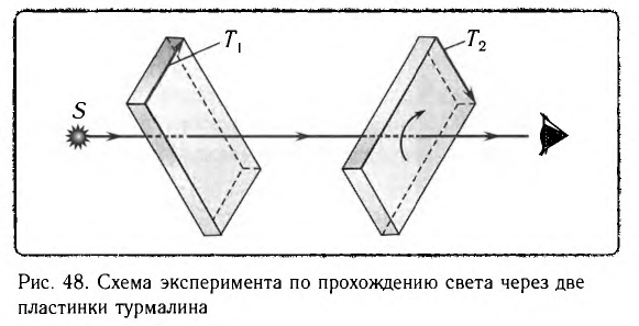 Поляризация света в физике - формулы и определения с примерами