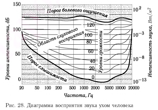 Звук в физике и его характеристики, виды, формулы и определения с примерами