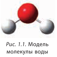 Органическая химия - основные понятия, что изучает, формулы и определения с примерами