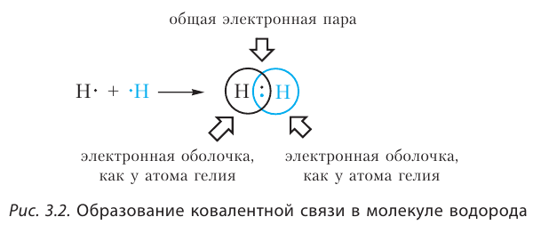 Органическая химия - основные понятия, что изучает, формулы и определения с примерами