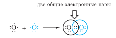 Органическая химия - основные понятия, что изучает, формулы и определения с примерами