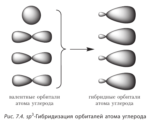 Органическая химия - основные понятия, что изучает, формулы и определения с примерами