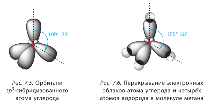 Органическая химия - основные понятия, что изучает, формулы и определения с примерами