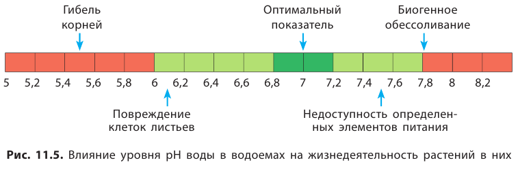 Неорганическая химия - основные понятия, законы, формулы, определения и примеры