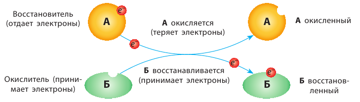 Неорганическая химия - основные понятия, законы, формулы, определения и примеры