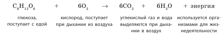 Неорганическая химия - основные понятия, законы, формулы, определения и примеры