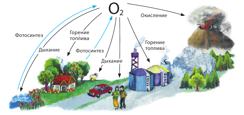 Неорганическая химия - основные понятия, законы, формулы, определения и примеры