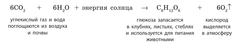 Неорганическая химия - основные понятия, законы, формулы, определения и примеры